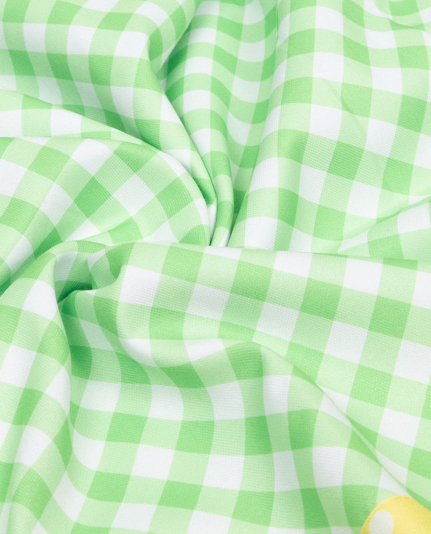 Light Green & White Checks Rida Wih Smart Panel Lace & Floral Applique With Embroi.