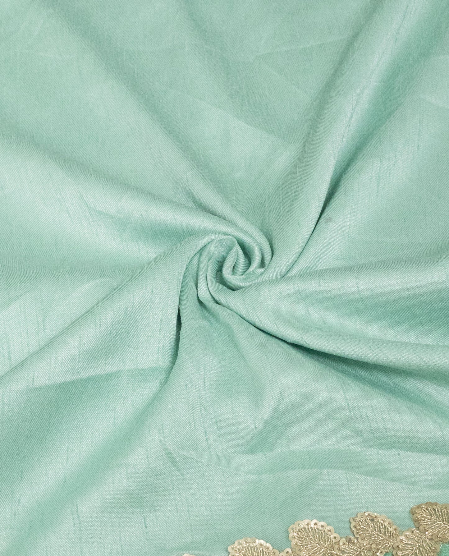 Pista Green Rida With Heavy Panel Lace & Aari Touch Up