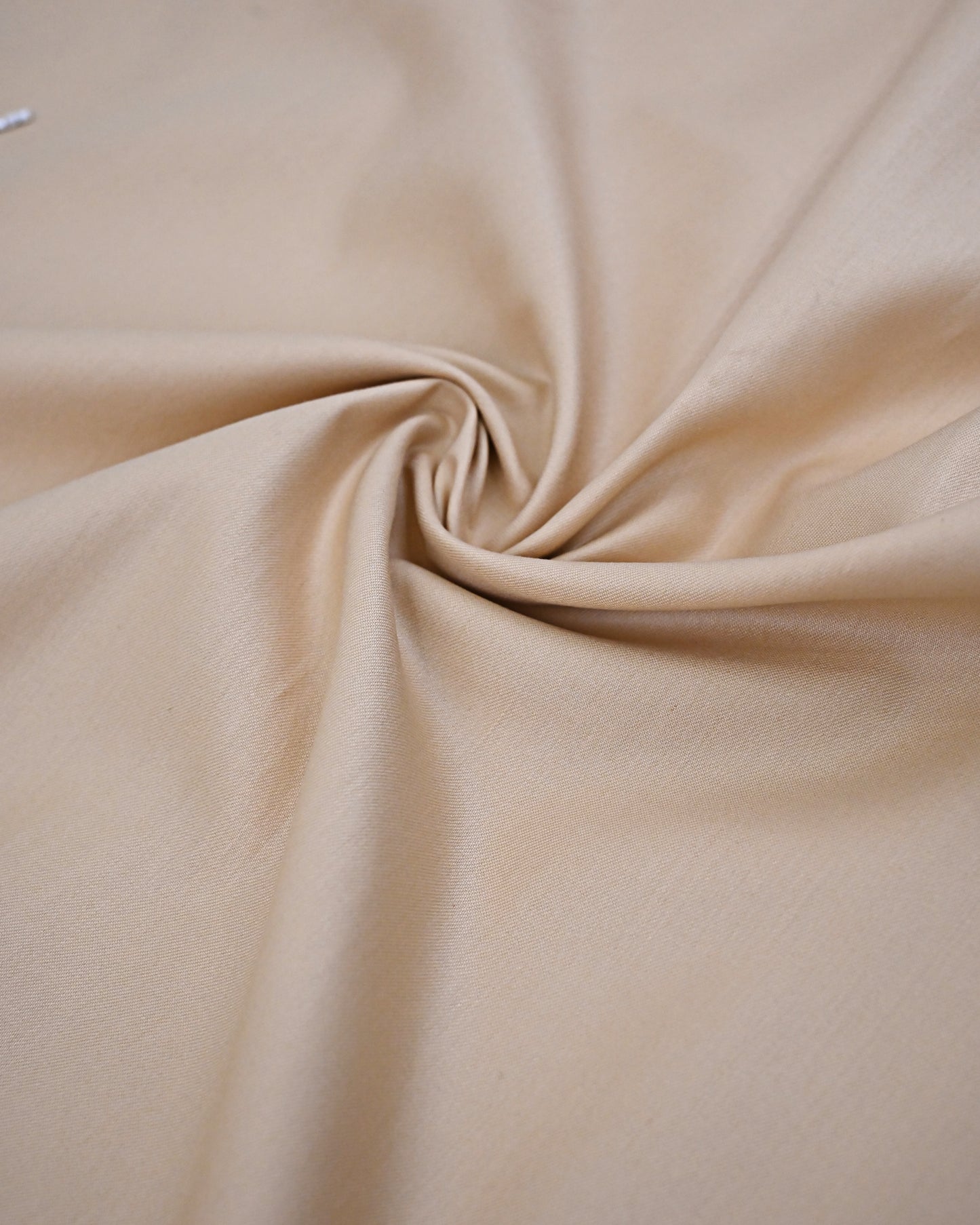 Sand Beige Rida With Floral Panel & Floral Leafy Aari Work