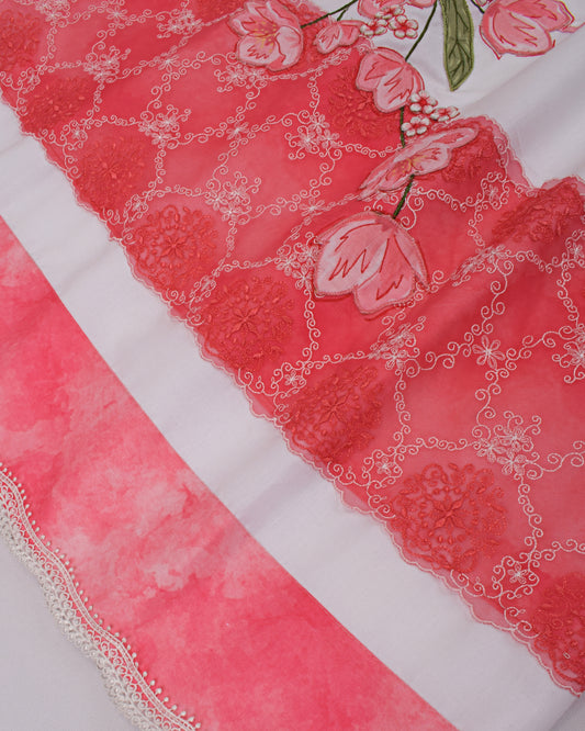 Off White With Applique Embroidery With Piping Pattern