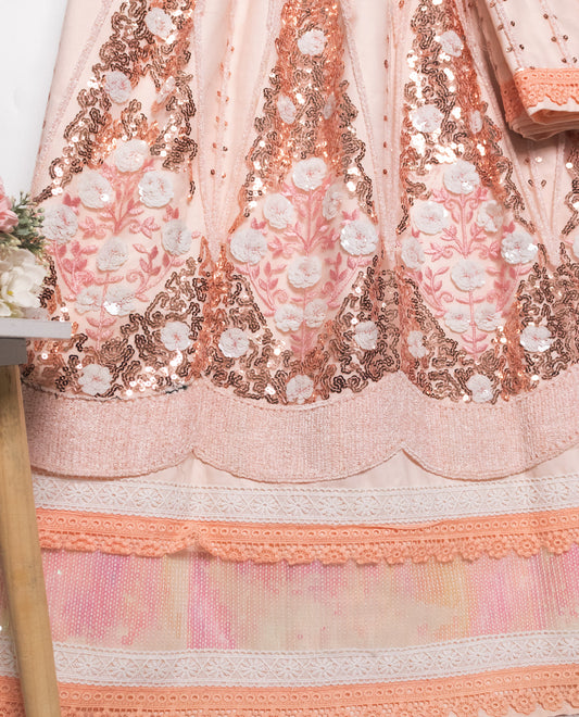 Peach Rida With Smart Sequence Tiikri Lace & Panel
