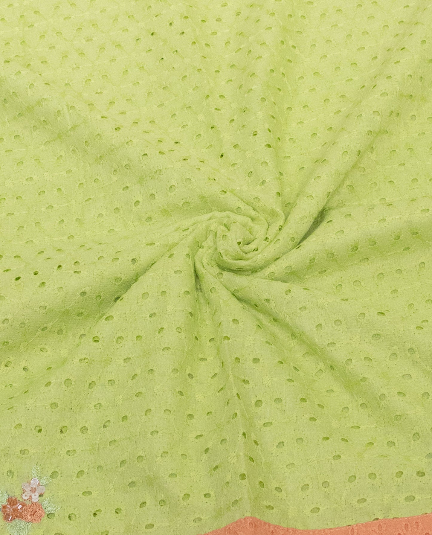 Light Green Hakoba Rida With Smart Orange Hakoba Panel Smart Lace & Floral Work