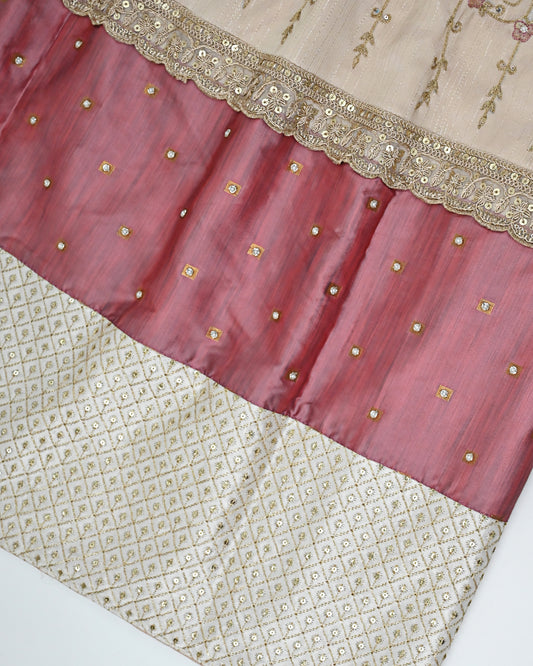 Beige Shining Rida With Floral Aari Border & Heavy Look Panel & Lace