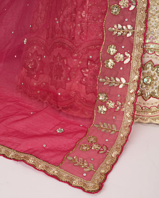 Golden & Rani Aari Work Bridal Jodi With Rani Dupatta