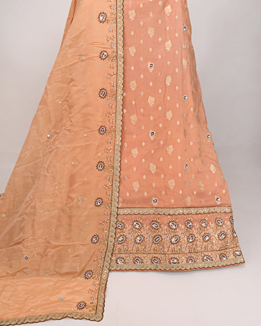 Orange Self Print Bridal Wear With Aari Border & Matching Dupatta