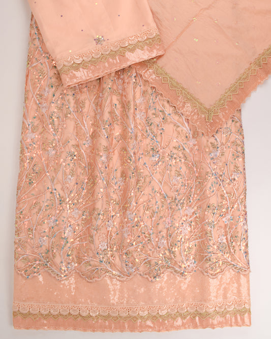 Peach RCJ With Heavy Net Peice & All Over Work Sequence Lace