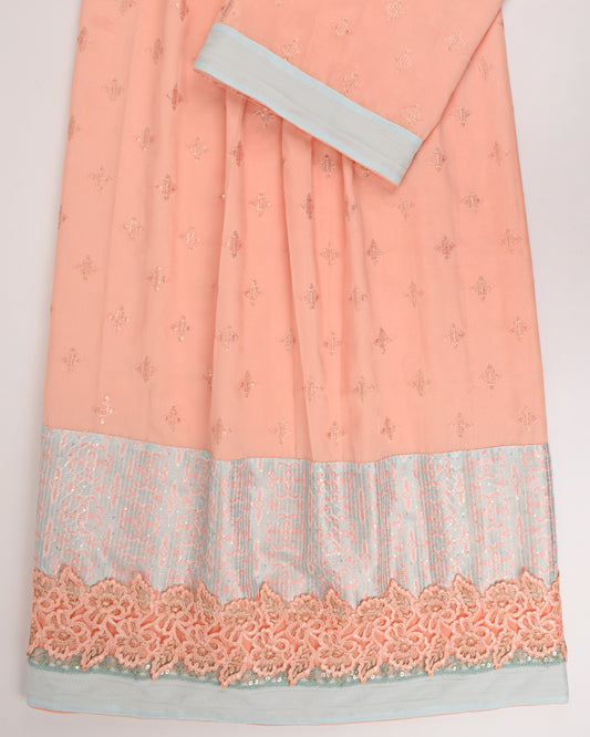 Sky Blue Rida With Rose Printed Panel & Smart Lace