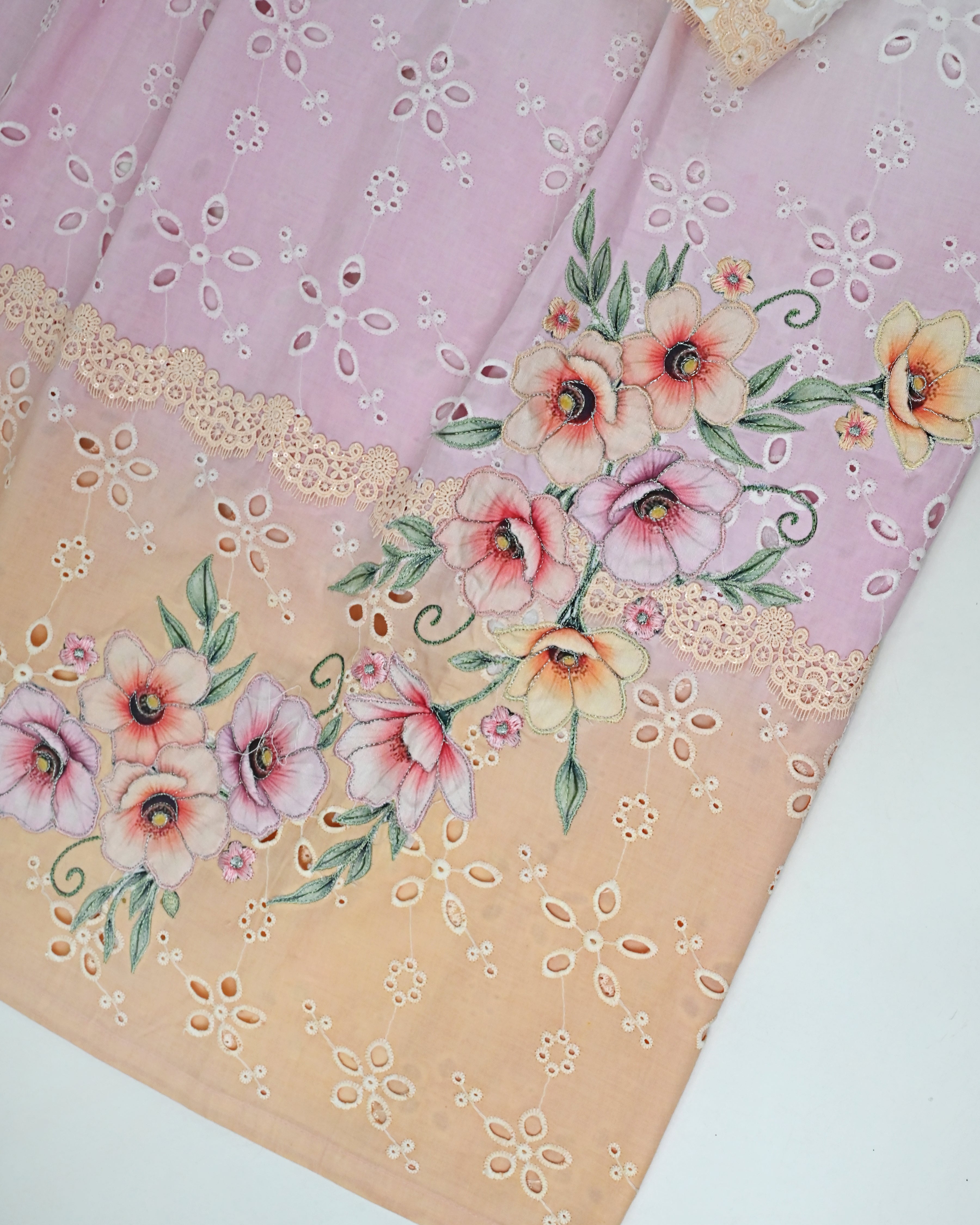 Tri Color Ombre Hakoba Rida With Smart Floral Applique With Embroidery Work